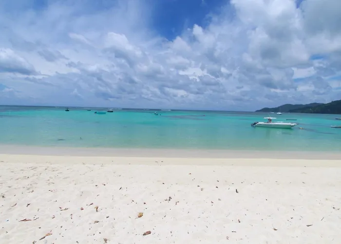 Coco Blanche Anse Royale